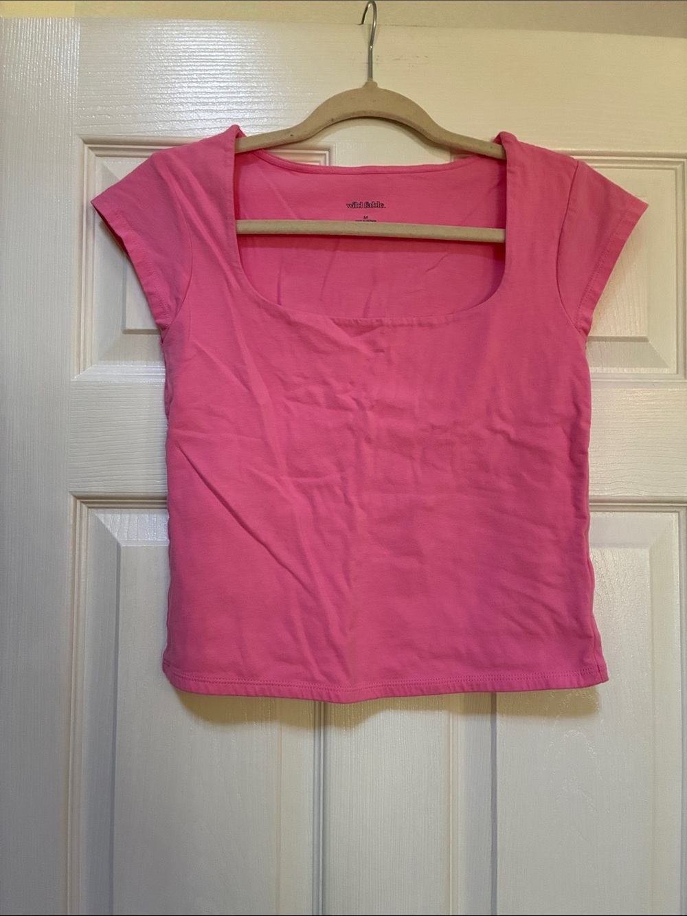 wild fable Pink Scoop Neck Crop Top